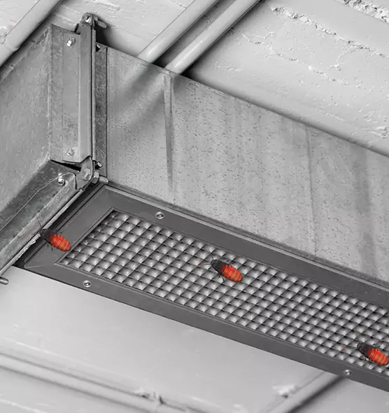 Affordable Insect Removal from Air Ducts in Staten Island, NY
