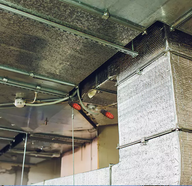 Why Homeowners & Businesses Trust Us in Staten Island, NY?