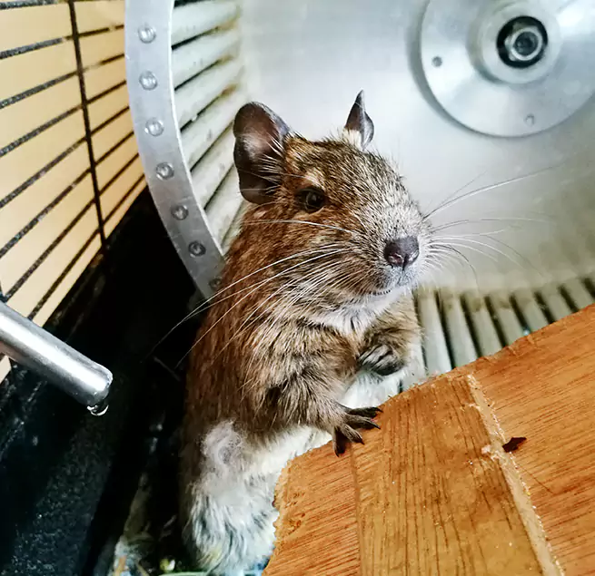 Why Homeowners & Businesses Trust Us Midland Beach, NY