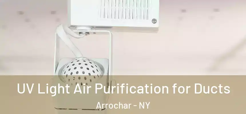 UV Light Air Purification for Ducts Arrochar - NY