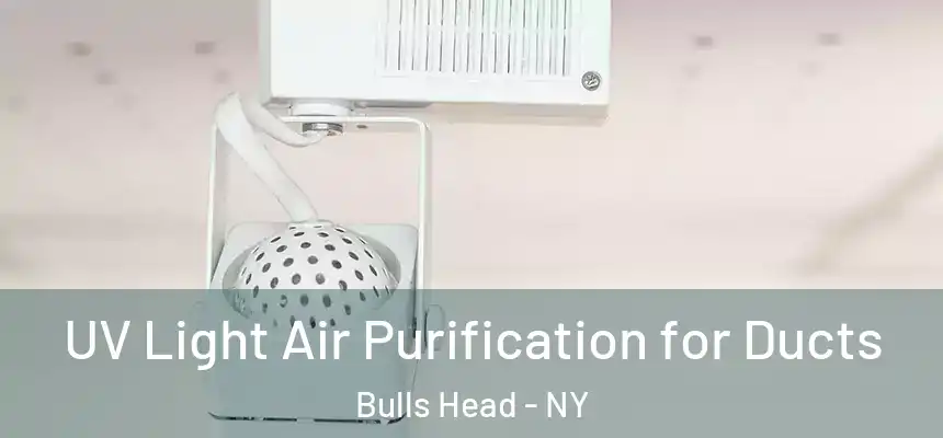 UV Light Air Purification for Ducts Bulls Head - NY