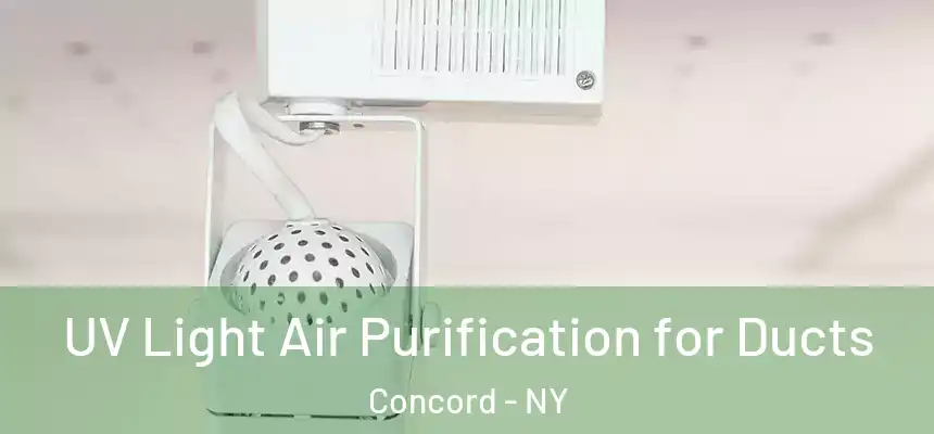  UV Light Air Purification for Ducts Concord - NY