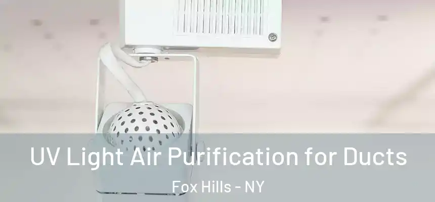 UV Light Air Purification for Ducts Fox Hills - NY