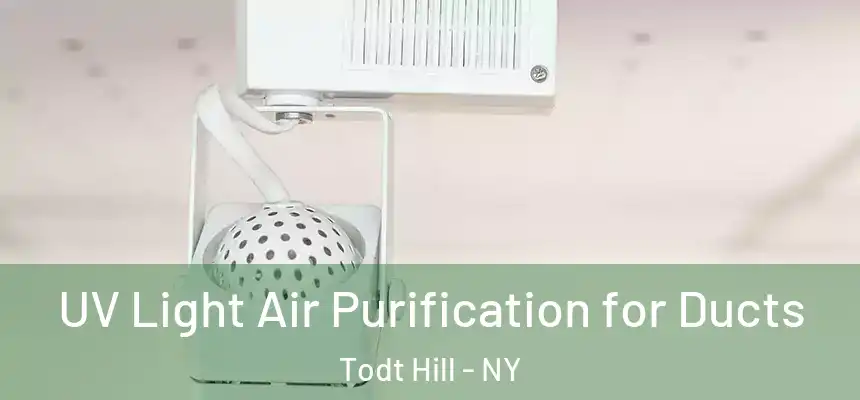 UV Light Air Purification for Ducts Todt Hill - NY