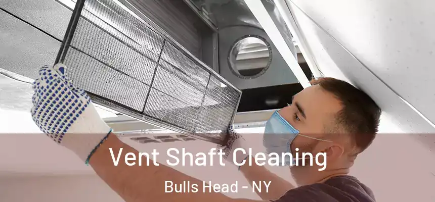 Vent Shaft Cleaning Bulls Head - NY