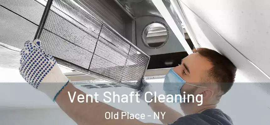 Vent Shaft Cleaning Old Place - NY