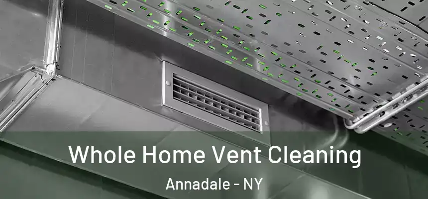 Whole Home Vent Cleaning Annadale - NY