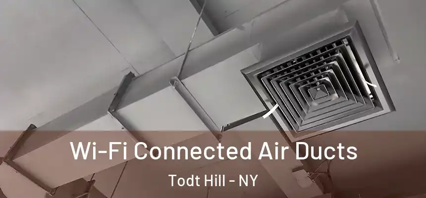 Wi-Fi Connected Air Ducts Todt Hill - NY