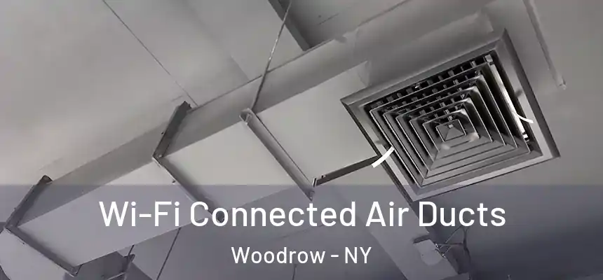 Wi-Fi Connected Air Ducts Woodrow - NY